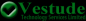 Vestude Technology Services Limited logo